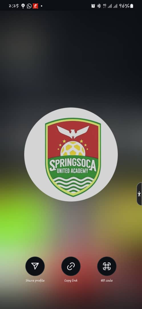 MATCH REPORT: SpringSoca United Academy 1–1 Pele Football Academy !!